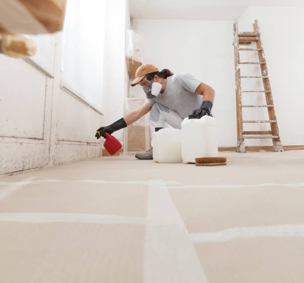 Mold Documentation for Insurance Claims in South Waverly, PA